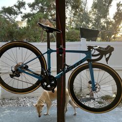Giant Tcr Advanced Pro XS