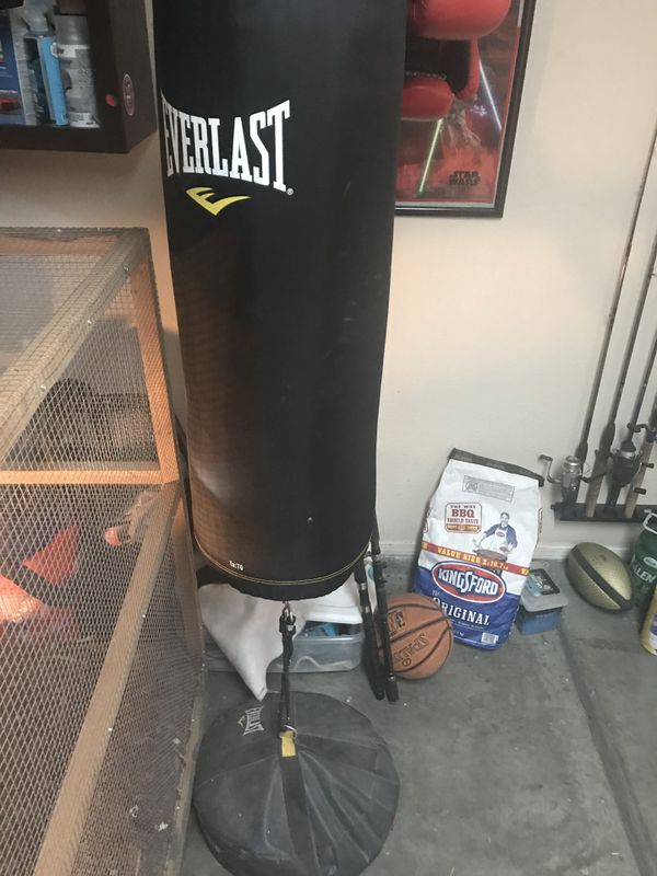 Everlast punching bag with ground anchor and gloves for