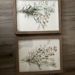 Watercolor Floral Art