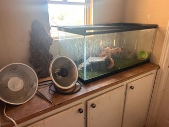 Terrarium/ Reptile Enclosure 40g
