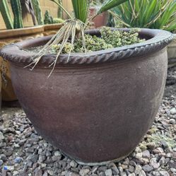 Planter / Pot