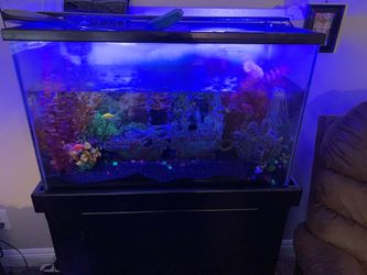 30 gallon fish tank with stand and storage space.