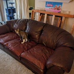 Leather Couches 