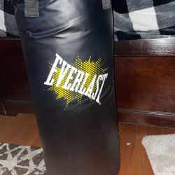 Everlast Punching Bag