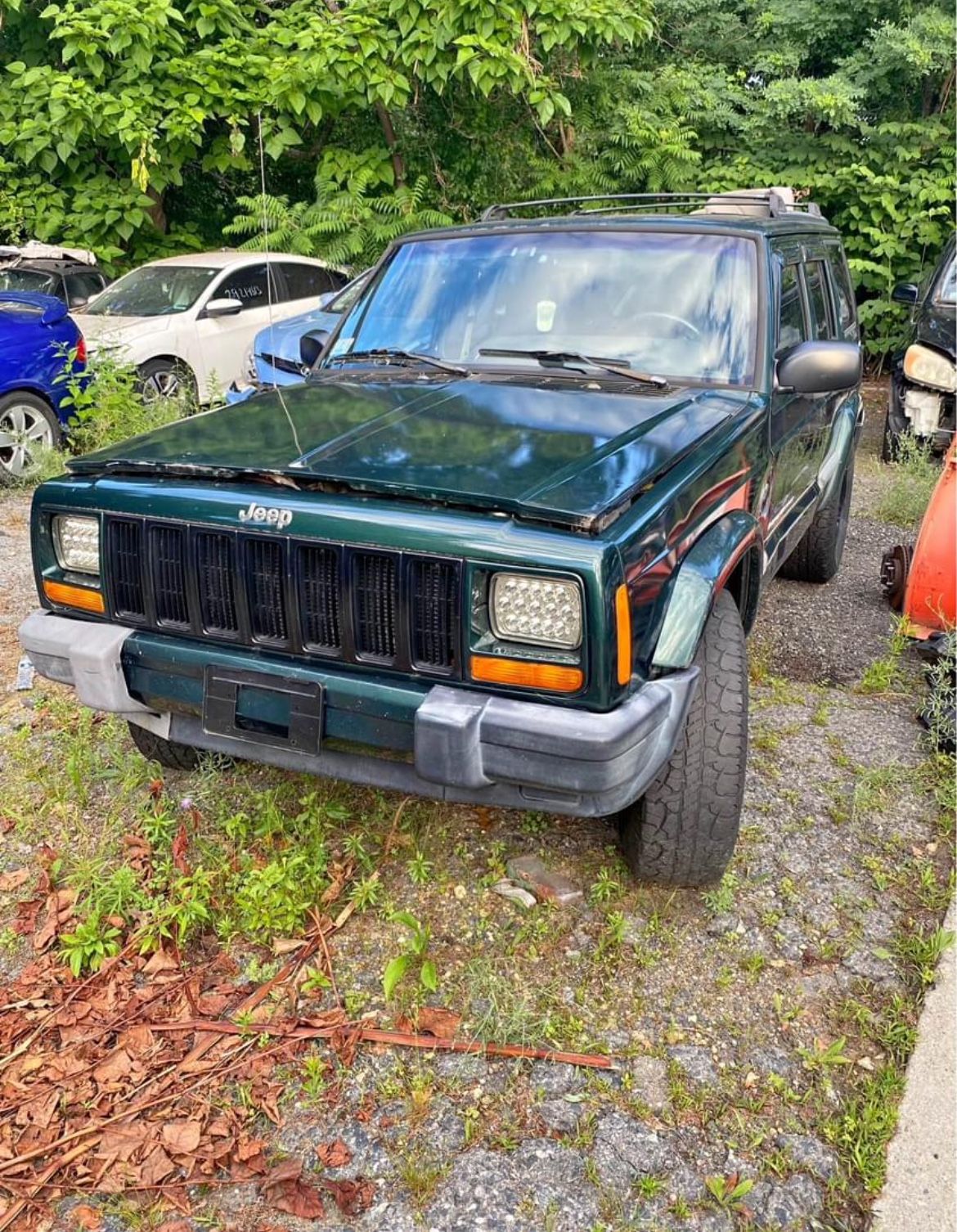 Bumper Read Description 