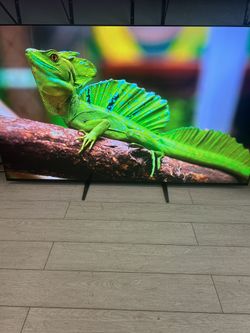 77” SONY - 4K OLED - GOOGLE SMART TV - K-77XR80