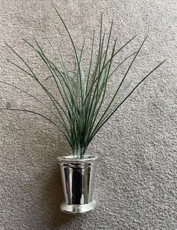Small Artificial Plant 