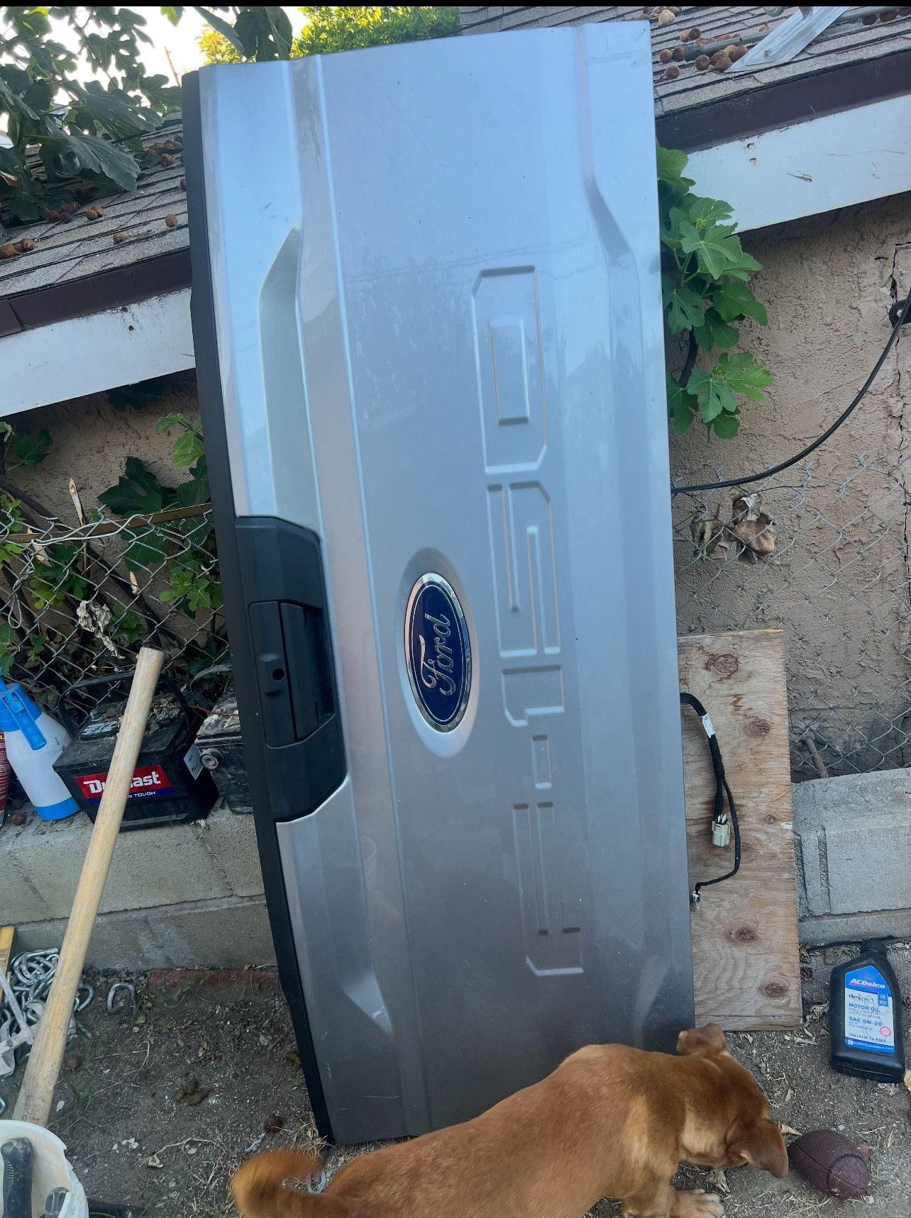 Ford F150 Tailgate Door 2023