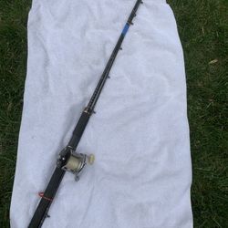 Fishing Rod and Reel $65