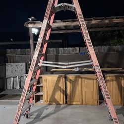 Werner Ladder 