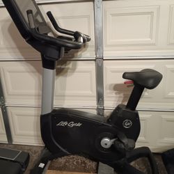 Life Fitness Exercise Bike 