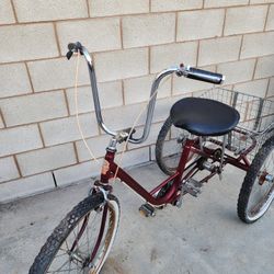 Adult 3 Wheel Bicycle 