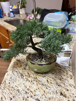 Fake bonsai tree