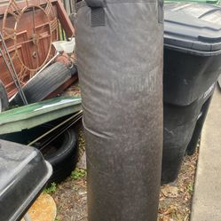 Everlast Punching Bag 