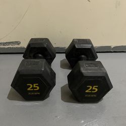 25 Pound Weights Pair 