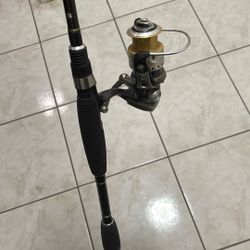 Abu Garcia Fishing Pole Combo