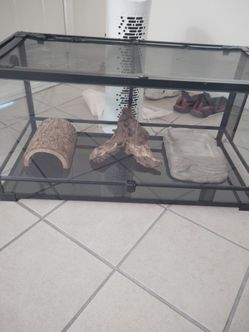 T-rex Aquarium