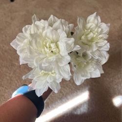White flowers and green vines