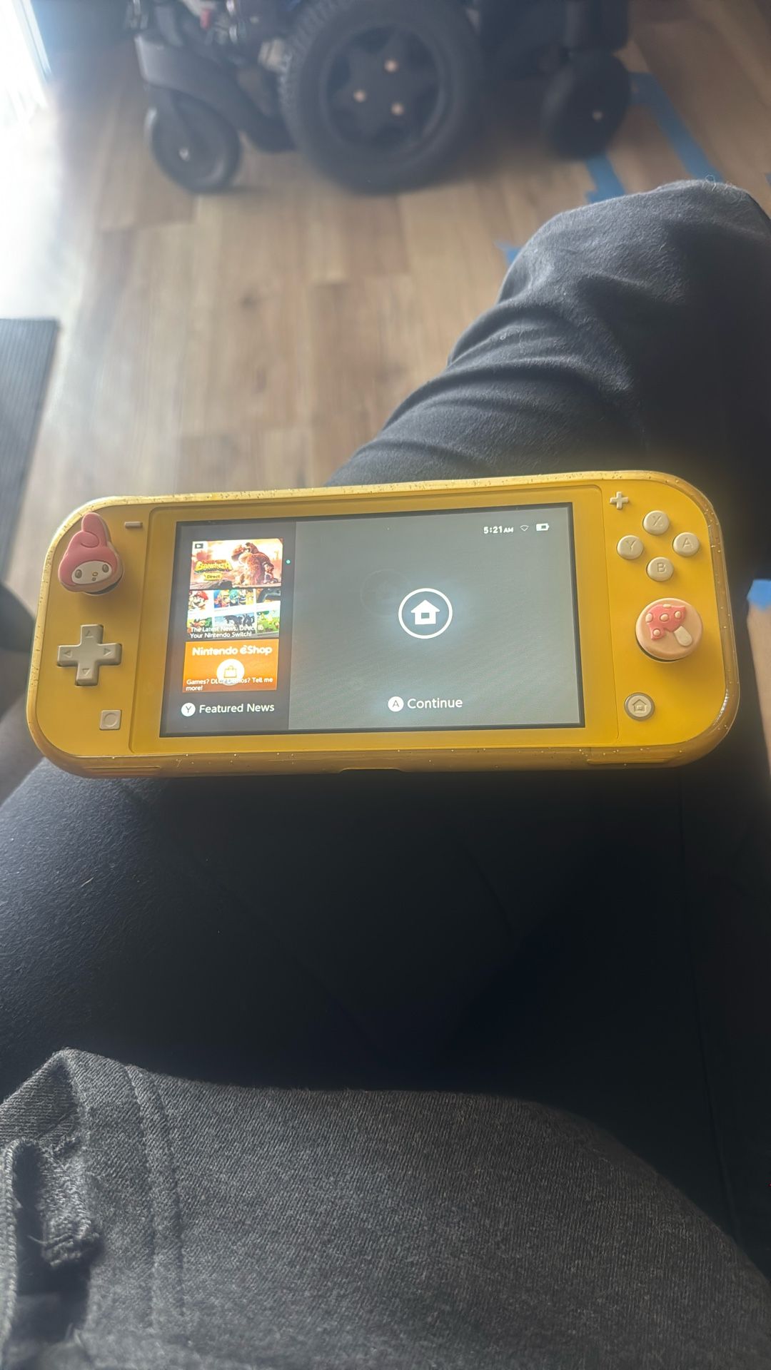 Switch Lite
