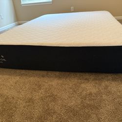 “New” Sealy Cocoon  Queen Mattress(Hybrid)