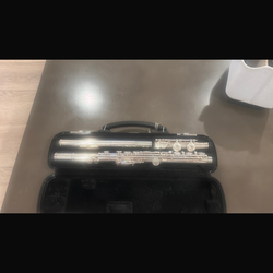 Beginner flute, great condition