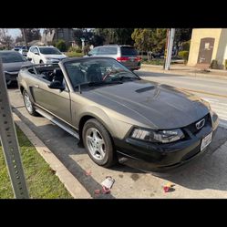 2002 Mustang Premium Convertible 