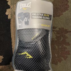 Everlast boxing training gloves