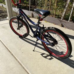 Schwinn Bike