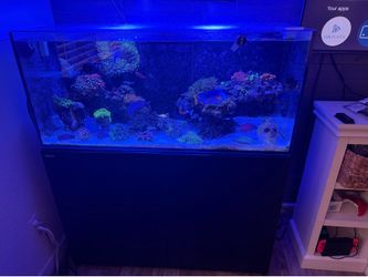 Red Sea 350 aquarium