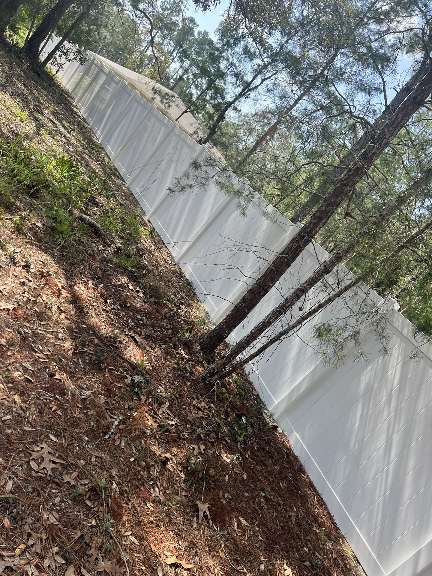 Fence