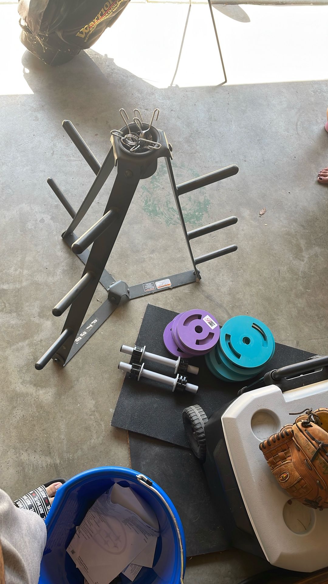 Weight Plate Rack W/ Plates, Dumbbell Handles