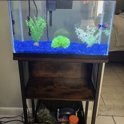 Pescera Mesa Y Accesorios 