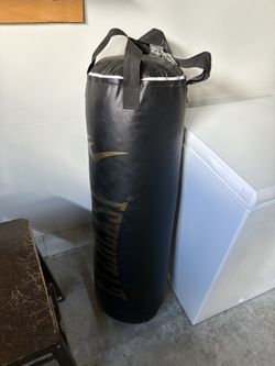 Punching Bag