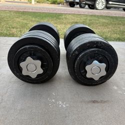 Adjustable Dumbbells