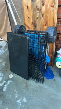 Dog kennel