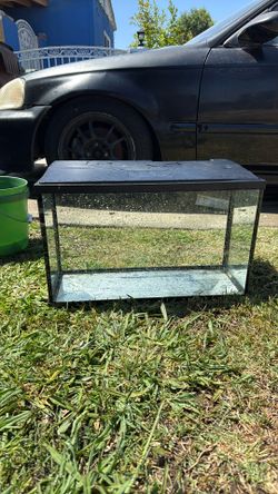10 Gal Tank