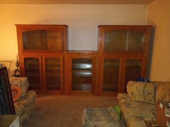 Entertainment/ Display Case