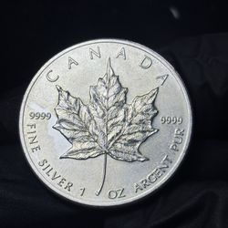 Beautiful Canadian 1oz Silver Maple Leaf 