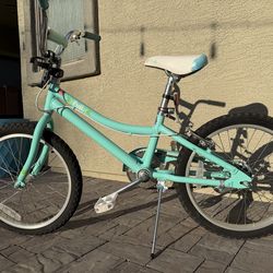 Fuji Rookie 20" bicycle