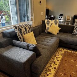 Dania Sectional couch