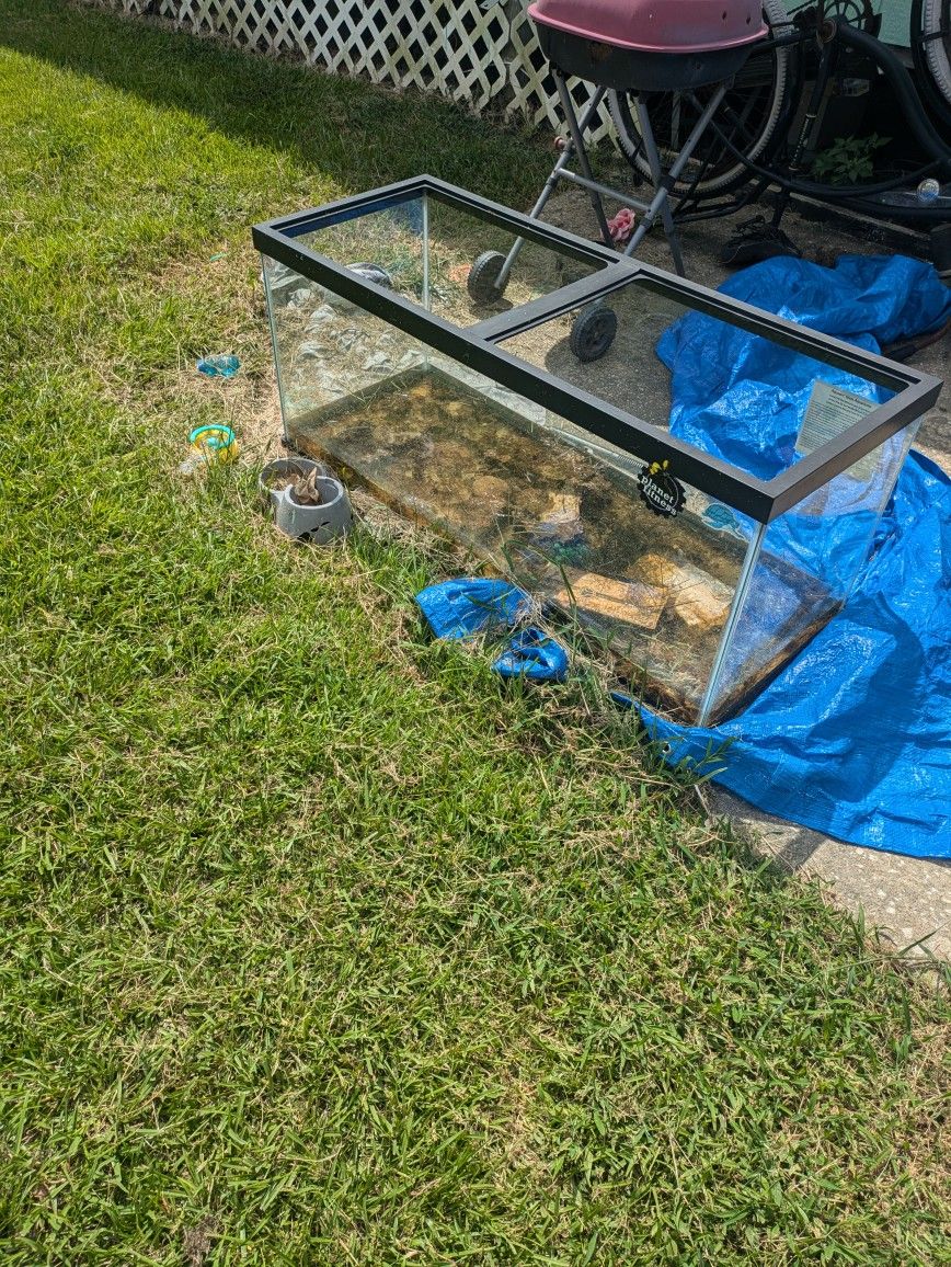 Fish Tank 75"