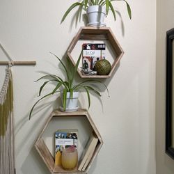 Wooden Hexagon Wall Shelves With Spider Plants 