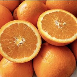 Organic Navel Oranges