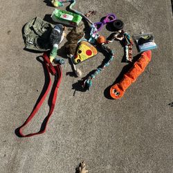 Lot Of dog Items 