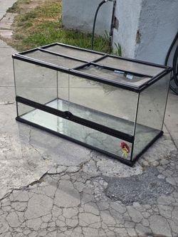 Exo terra glass terranium