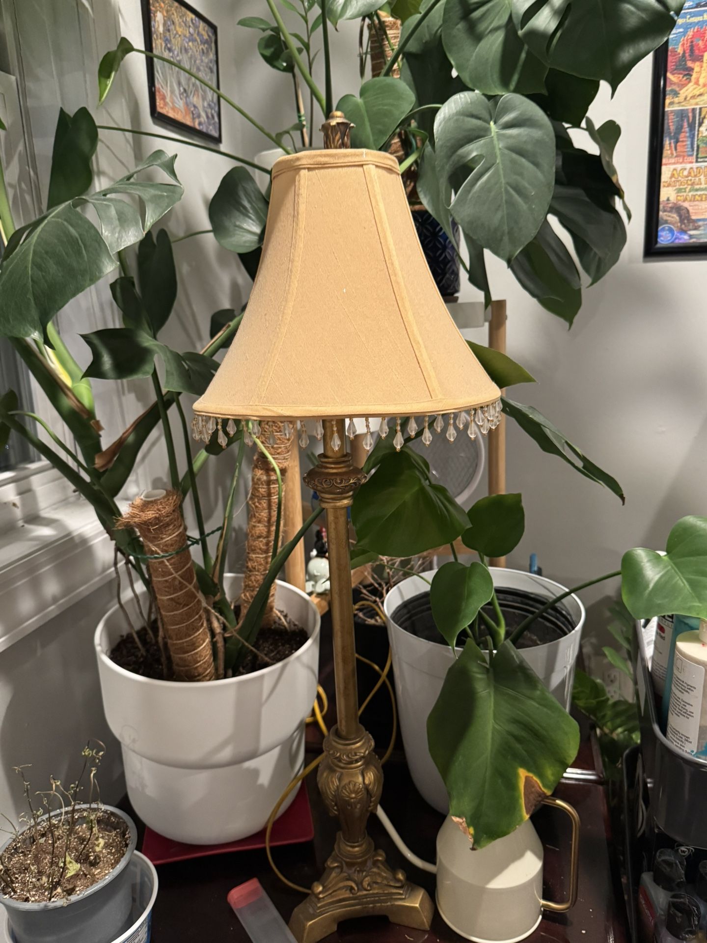 Antique Lamp $50