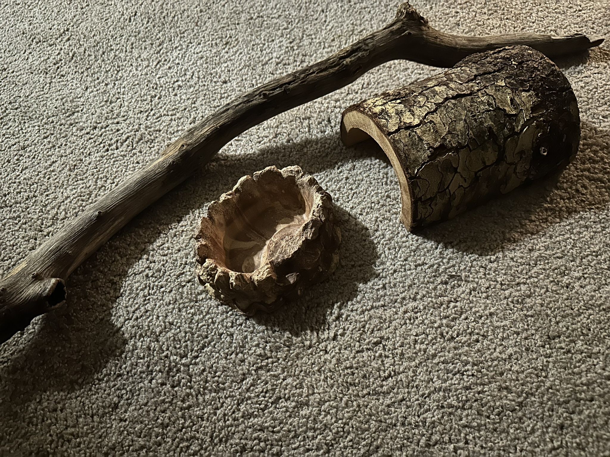 Reptile decor