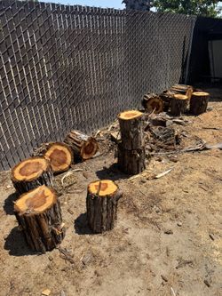 free wood