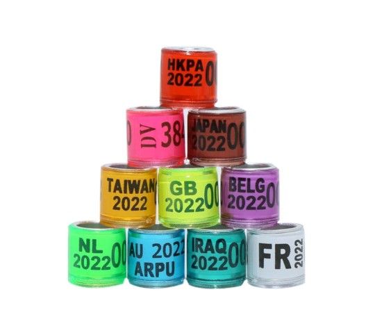 100 Pcs PIGEON RING 2022