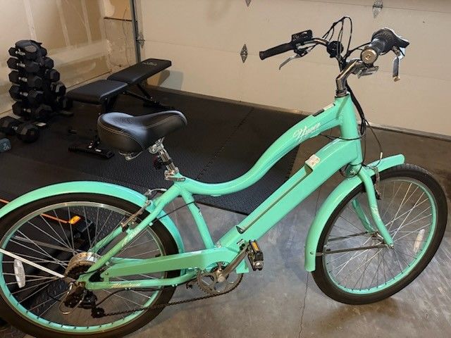 Electric Bike